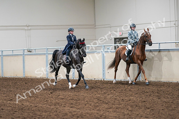2020 - AB Morgan Horse - Fri, Sept 04 - 03156