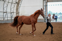 July 19, 2019 - 877