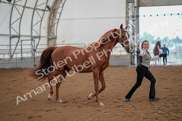 July 19, 2019 - 877