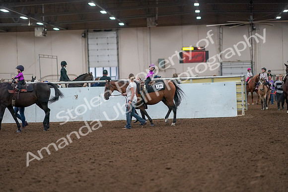 2019 Morgan Horse Show - Aug 31, 2019 - 18900