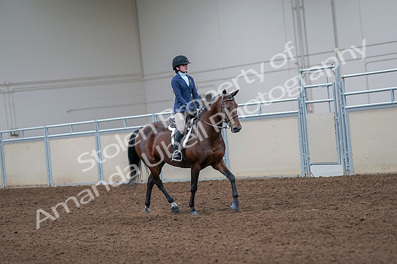 2020 - AB Morgan Horse - Fri, Sept 04 - 06059