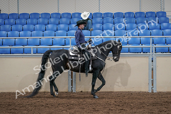 2020 - AB Morgan Horse - Sun, Sept 06 - 07538