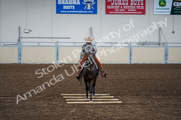 2020 - AB Morgan Horse - Fri, Sept 04 - 00438