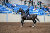 2020 - AB Morgan Horse - Fri, Sept 04 - 06982