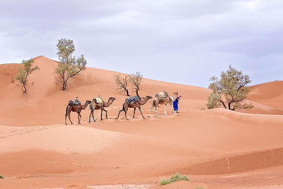Morocco - 108