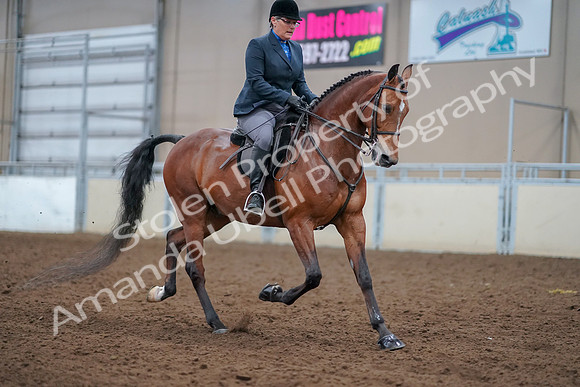 2019 Morgan Horse Show - Aug 30, 2019 - 20897