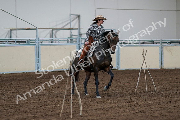 2020 - AB Morgan Horse - Fri, Sept 04 - 00345
