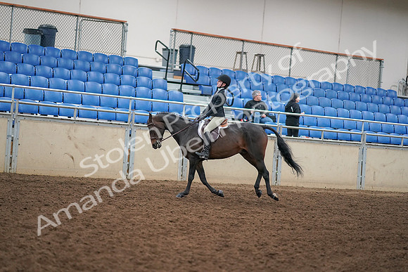 2019 Morgan Horse Show - Aug 30, 2019 - 12296