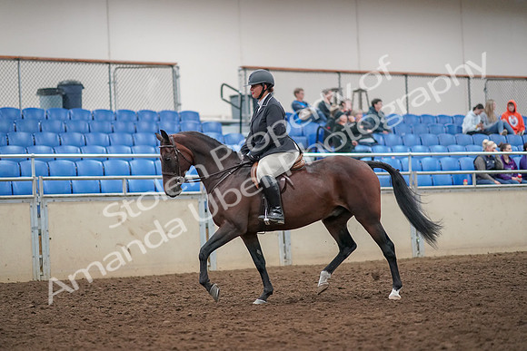 2019 Morgan Horse Show - Aug 30, 2019 - 29222