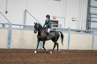 2020 - AB Morgan Horse - Sat, Sept 05 - 09054