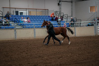 2019 Morgan Horse Show - Aug 30, 2019 - 25538