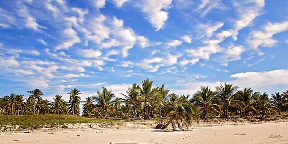 Mexico - 19