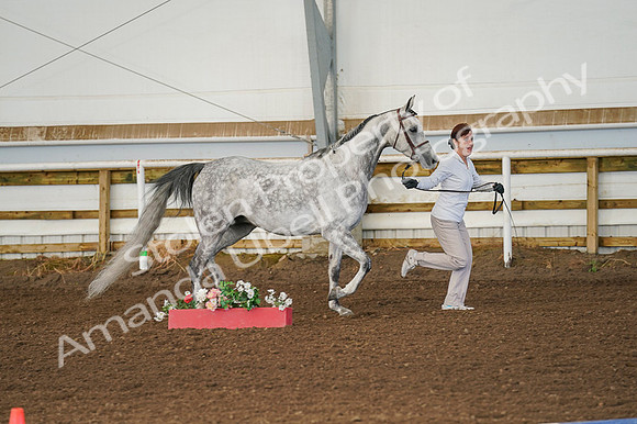 2020 - Region 17 - Wed, Sept 09 - 01703