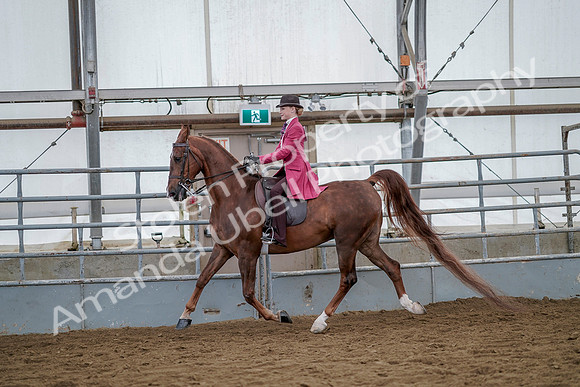 July 20, 2019 - 14510