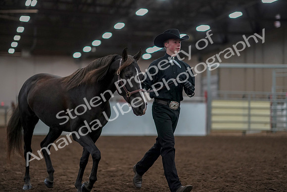 2019 Morgan Horse Show - Aug 31, 2019 - 01916