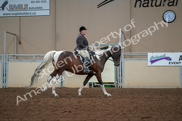 2019 Morgan Horse Show - Aug 30, 2019 - 22587
