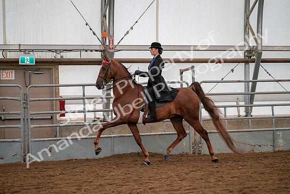 July 19, 2019 - 10476