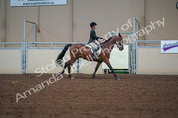 2019 Morgan Horse Show - Aug 30, 2019 - 21040