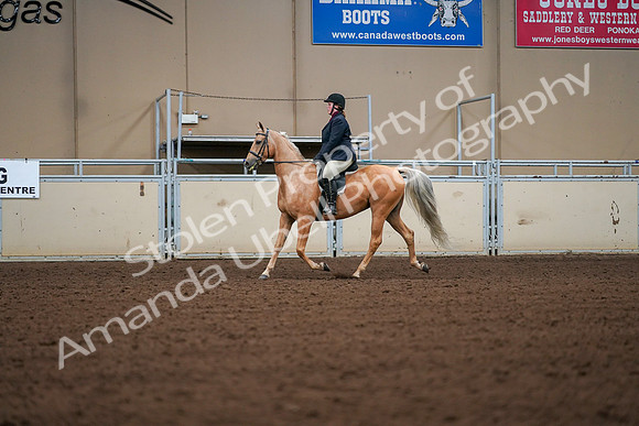 2019 Morgan Horse Show - Aug 30, 2019 - 16169