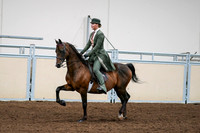 2020 - AB Morgan Horse - Fri, Sept 04 - 03294