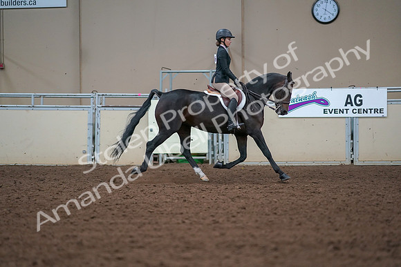 2019 Morgan Horse Show - Aug 30, 2019 - 20782