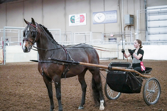 Spring Fling - Saturday - April 20, 2019  -  00317