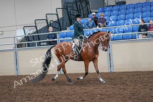 2020 - AB Morgan Horse - Sat, Sept 05 - 05099