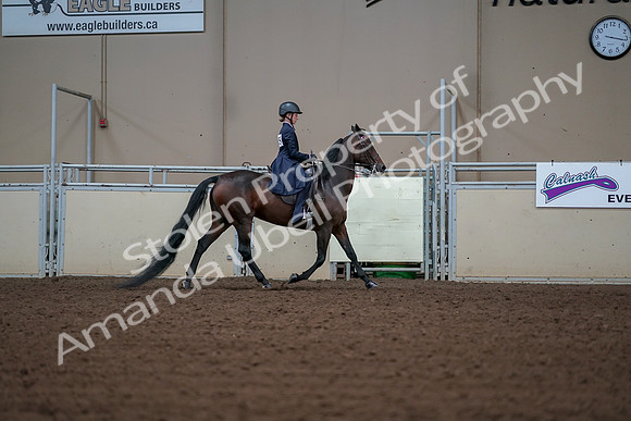 2019 Morgan Horse Show - Aug 30, 2019 - 18096