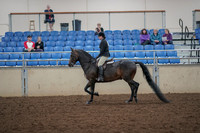 2019 Morgan Horse Show - Aug 30, 2019 - 27201