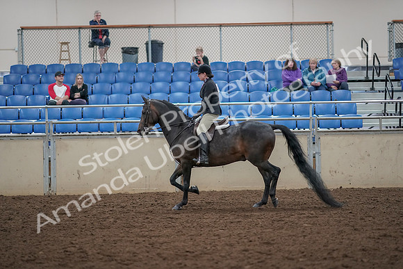 2019 Morgan Horse Show - Aug 30, 2019 - 27201