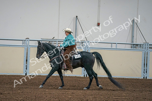 2020 - AB Morgan Horse - Fri, Sept 04 - 00598