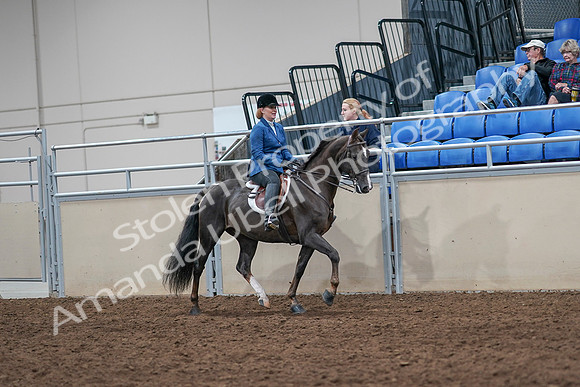 2020 - AB Morgan Horse - Sat, Sept 05 - 05076