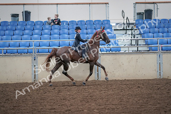 2019 Morgan Horse Show - Aug 30, 2019 - 18158