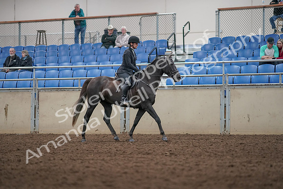 2019 Morgan Horse Show - Aug 31, 2019 - 07379