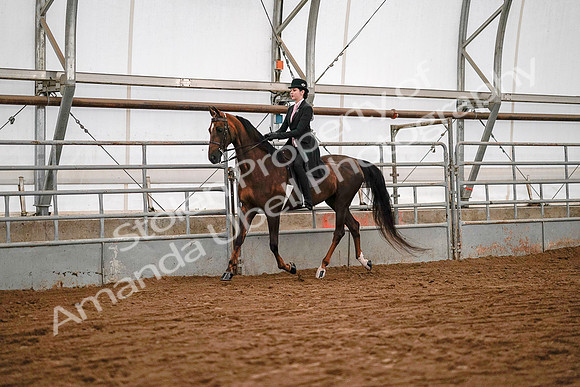 July 19, 2019 - 8639