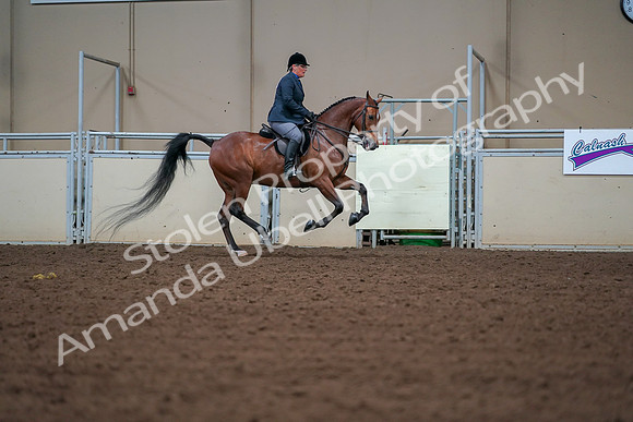 2019 Morgan Horse Show - Aug 30, 2019 - 20988