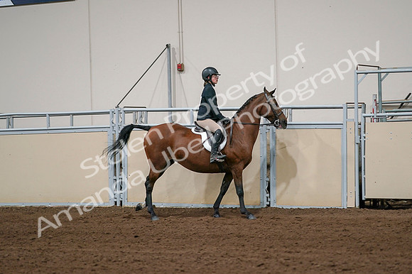 2020 - AB Morgan Horse - Fri, Sept 04 - 02093