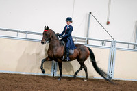2020 - AB Morgan Horse - Sat, Sept 05 - 08541