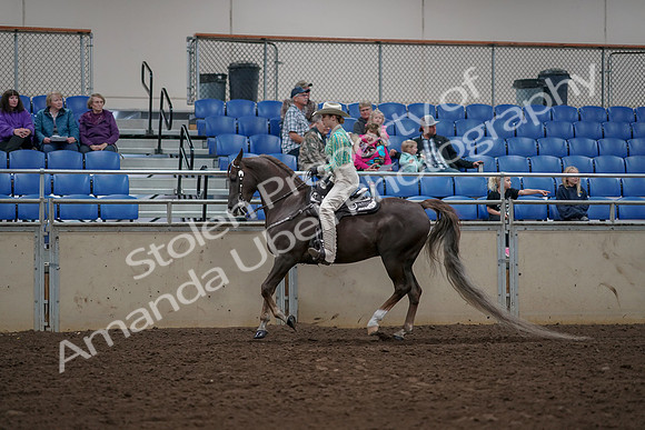 2019 Morgan Horse Show - Aug 30, 2019 - 26068