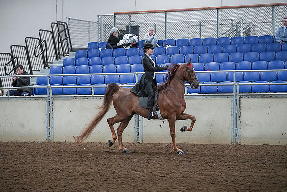 Spring Fling - Saturday - April 20, 2019  -  00558