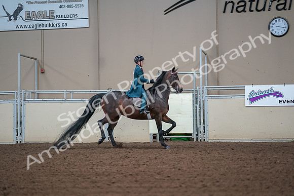 2019 Morgan Horse Show - Aug 30, 2019 - 18016