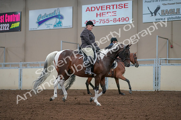 2019 Morgan Horse Show - Aug 30, 2019 - 16439