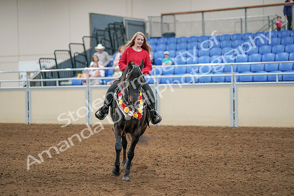 2020 - AB Morgan Horse - Sat, Sept 05 - 10436