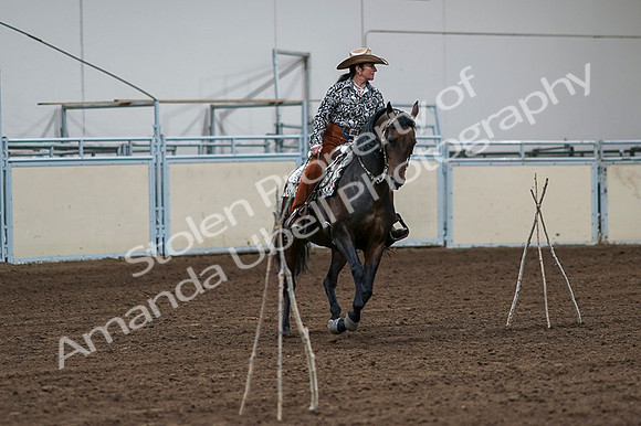 2020 - AB Morgan Horse - Fri, Sept 04 - 00343