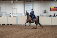 2020 - AB Morgan Horse - Fri, Sept 04 - 07858