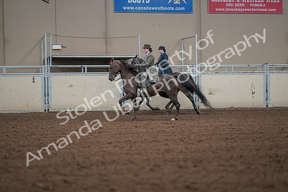 2019 Morgan Horse Show - Aug 30, 2019 - 15475