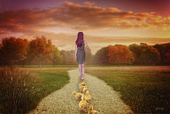 ducksbg 8x12