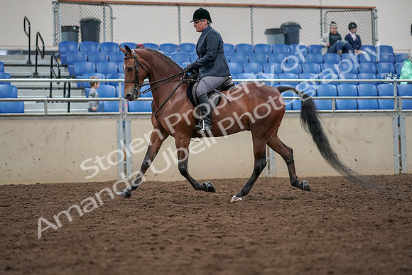 2019 Morgan Horse Show - Aug 30, 2019 - 19887