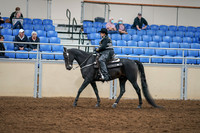 2020 - AB Morgan Horse - Sat, Sept 05 - 08871