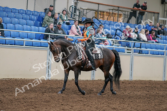 2020 - AB Morgan Horse - Sun, Sept 06 - 07480